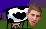 Image:Sergibovino.jpg