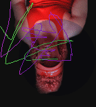 Image:Main.gif